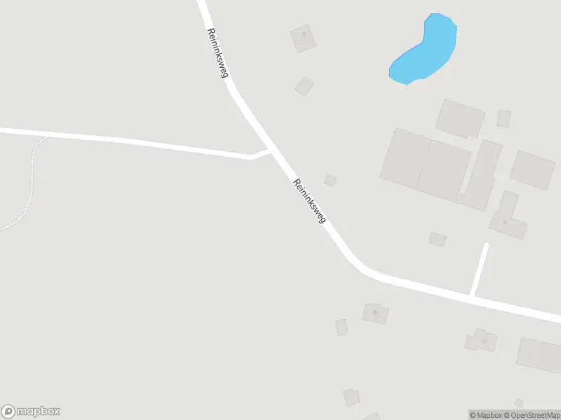 Politie naar de Reininksweg in Deurningen vanwege aanrijding met letsel