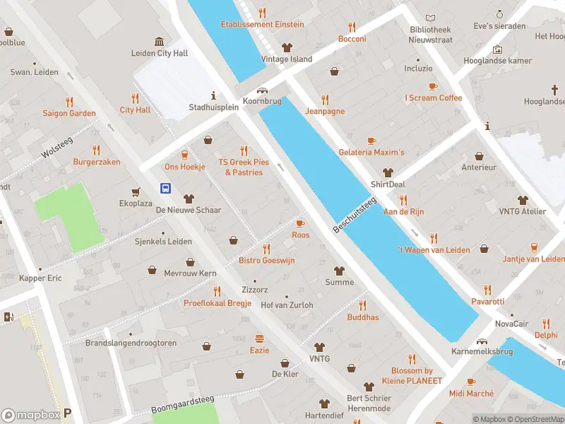 Ambulance met gepaste spoed naar de Levendaal in Leiden