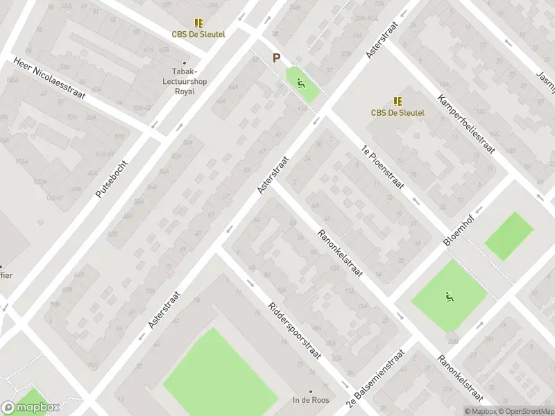 Ambulance met grote spoed naar de Ranonkelstraat in Rotterdam