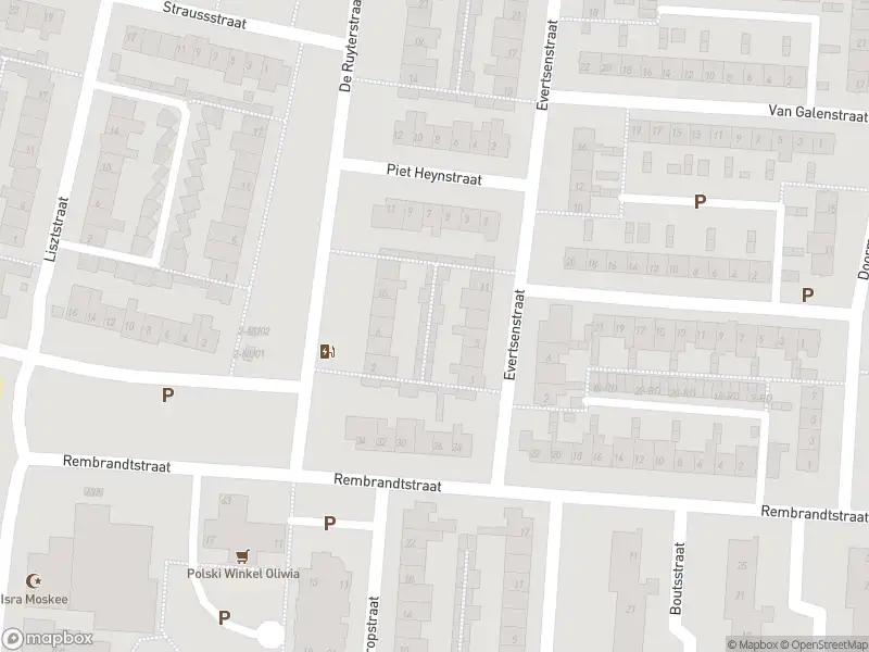 Overlastmelding Straussstraat in 5102BN Dongen