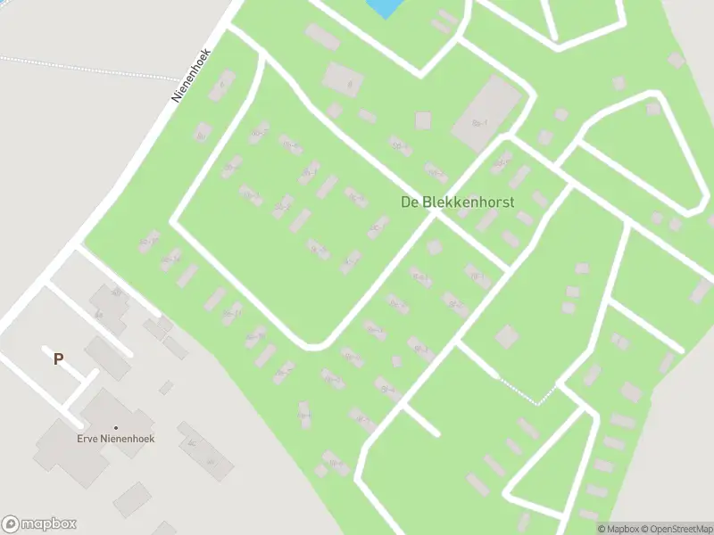 Brandweer met gepaste spoed naar de Nienenhoek in Den Ham vanwege stankoverlast