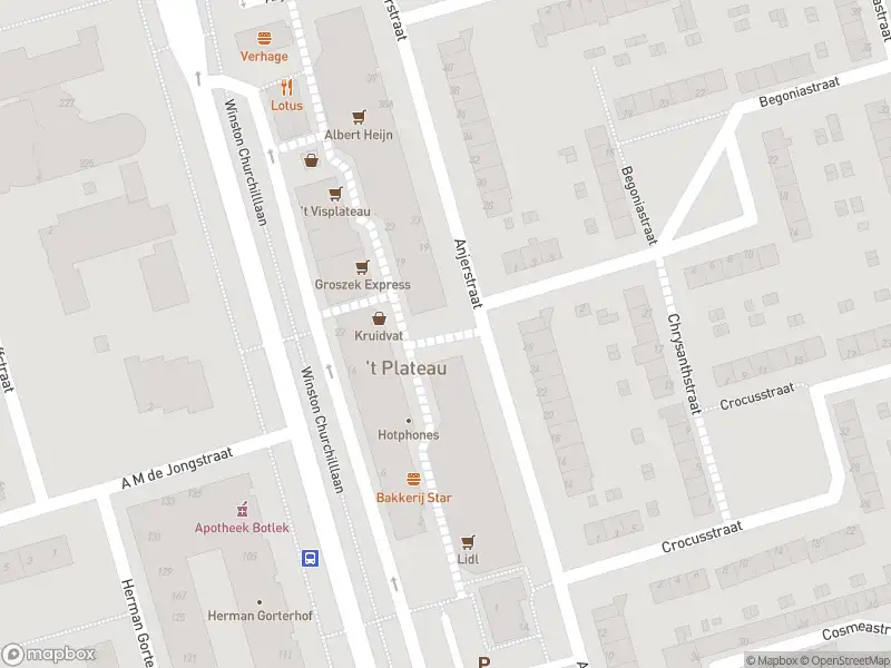 Ambulance met grote spoed naar de Anjerstraat in Spijkenisse