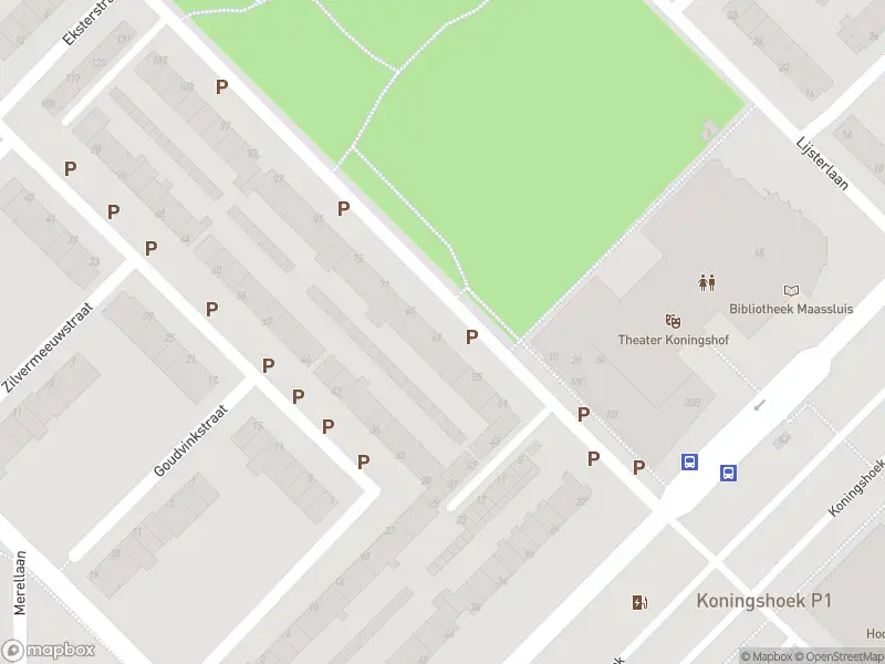 Ambulance met gepaste spoed naar de Lepelaarplantsoen in Maassluis