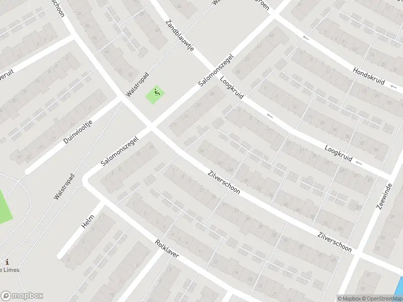 Overlastmelding Zilverschoon in Katwijk