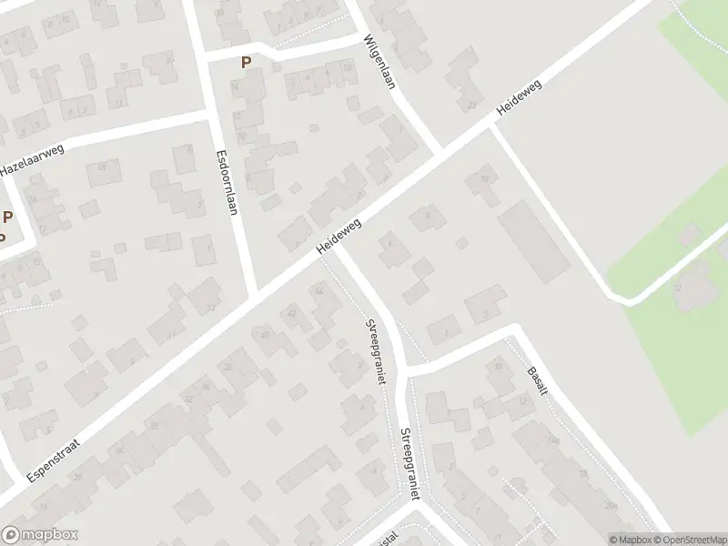 Brandweer met gepaste spoed naar de Kruisstraat in Langenboom