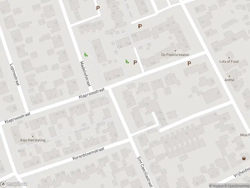 Overlastmelding Sint Caeciliastraat in Berkel-Enschot