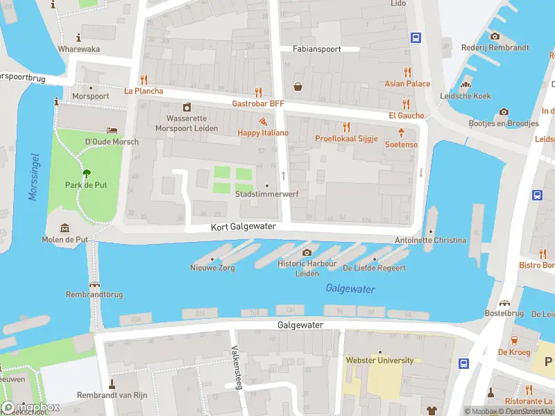 Ambulance met gepaste spoed naar de Kort Galgewater in Leiden