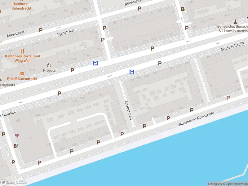 Ambulance met grote spoed naar de Ambonpad in Rotterdam