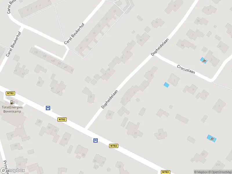 Overlastmelding Dopheidelaan in Heelsum