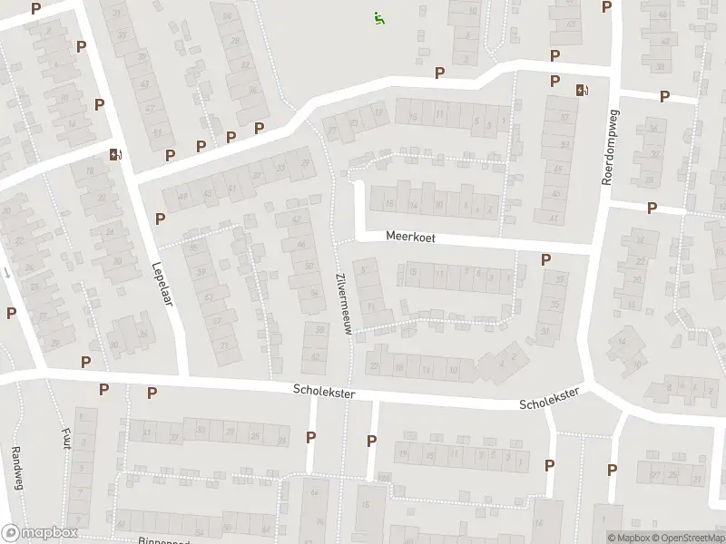 Overlastmelding Zilvermeeuw in Oud-Beijerland gesloten