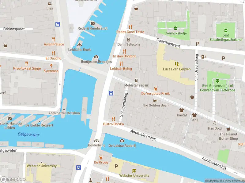 Brandweer met gepaste spoed naar de Schapensteeg in Leiden