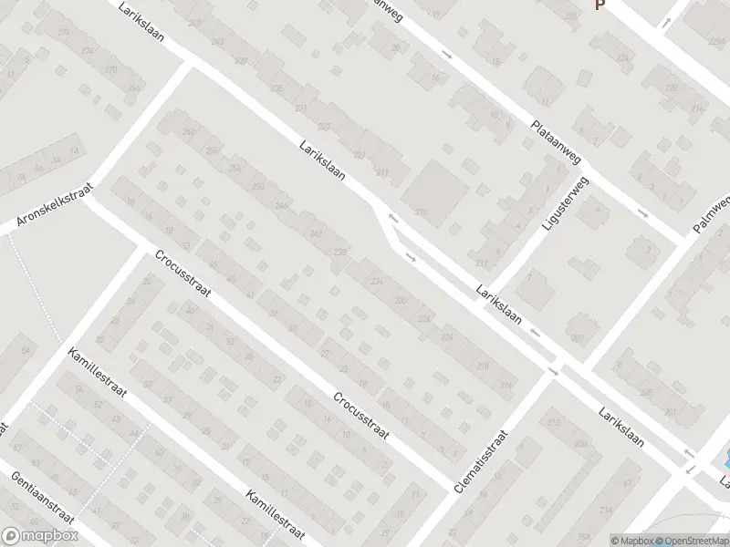 Ambulance met gepaste spoed naar de Larikslaan in Rotterdam