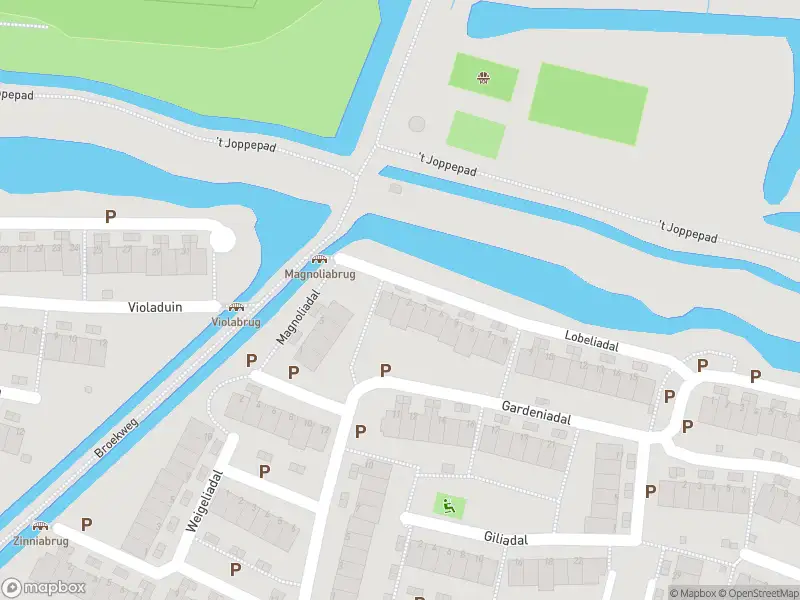 Besteld ambulance vervoer naar de Lobeliadal in Leiden