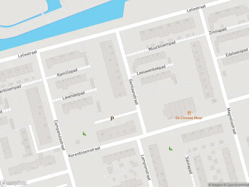 Ambulance met gepaste spoed naar de Gentiaanstraat in Spijkenisse
