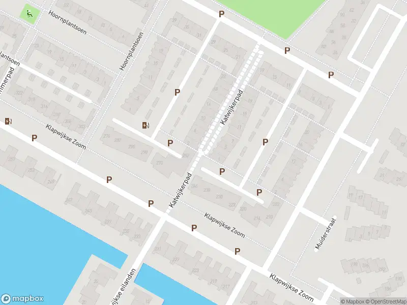 Ambulance met grote spoed naar de Katwijkerpad in Berkel en Rodenrijs