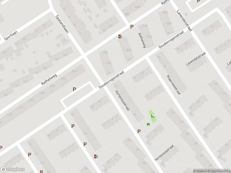 Ambulance met gepaste spoed naar de Hortensiastraat in Vlaardingen