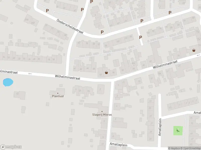 Overlastmelding Wilhelminastraat in Wemeldinge