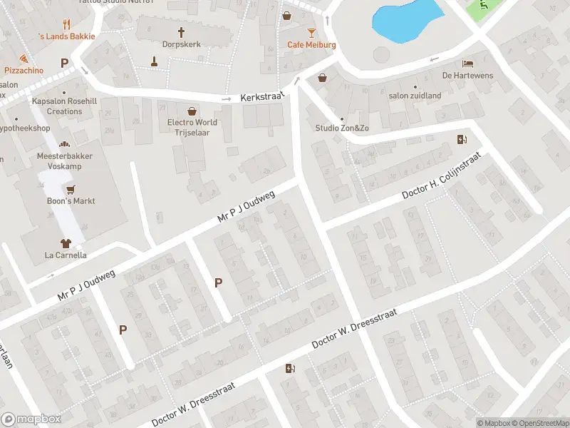 Ambulance met gepaste spoed naar de Jhr Mr A F de Savornin Lohmanstraat in Zuidland