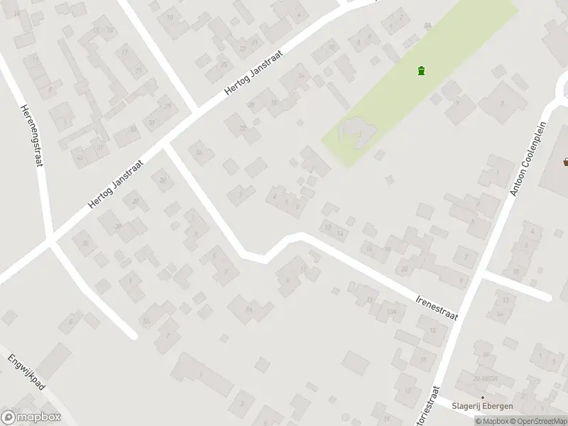 Politie naar de Irenestraat in Lith vanwege ongeval met letsel