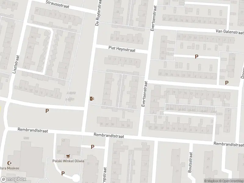 Overlastmelding Wagnerstraat in 5102BG Dongen