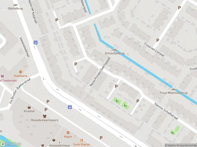 Ambulance met gepaste spoed naar de Reina Prinsen Geerligspad in Leiden