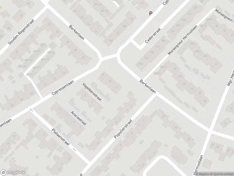 Overlastmelding Berkenlaan in Sint-Michielsgestel