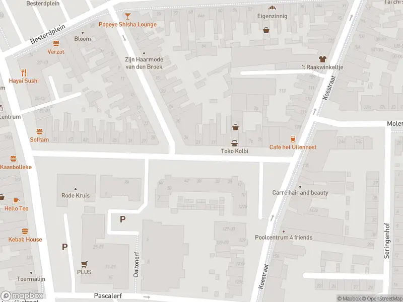 Overlastmelding Leonard van Vechelstraat in Tilburg gesloten