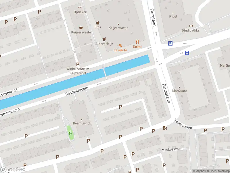 Ambulance met grote spoed naar de Bosmuiszoom in Pijnacker