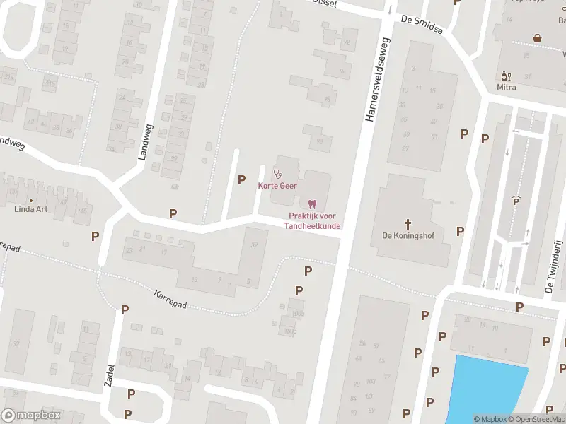 Brandweer met gepaste spoed naar de Korte Geer in Leusden