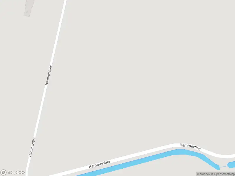 Brandweer met grote spoed naar de Hammerflier in Den Ham