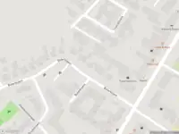 Overlastmelding Boterbloem in Udenhout gesloten