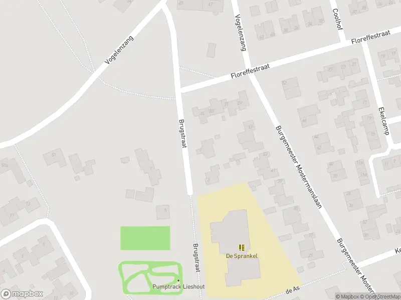 Brandweer met grote spoed naar de Brugstraat in Lieshout vanwege afhijsen patient