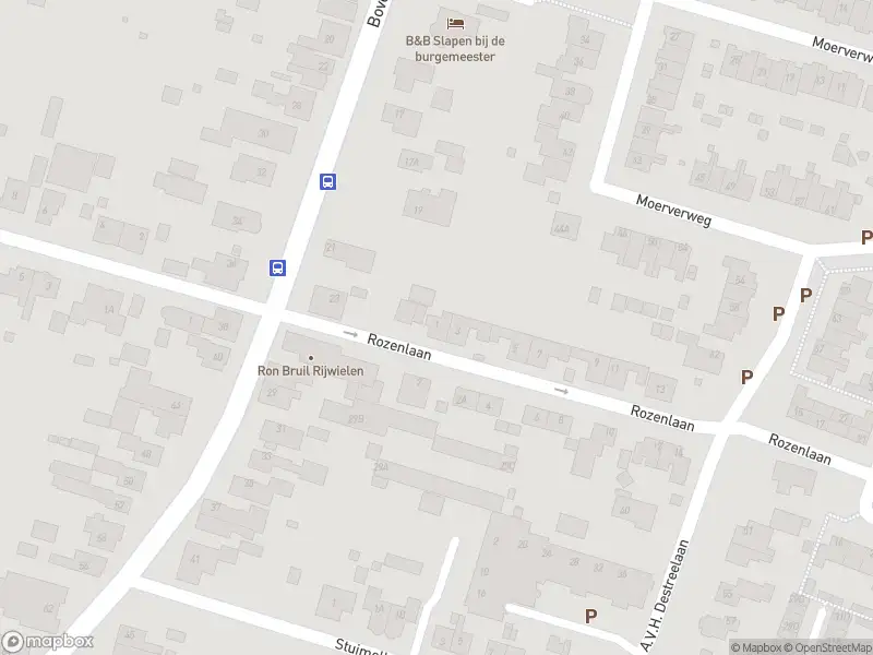 Overlastmelding Rozenlaan in Sint Pancras