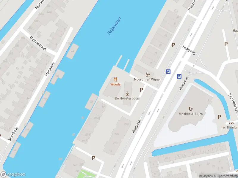 Overlastmelding Haagweg in Leiden