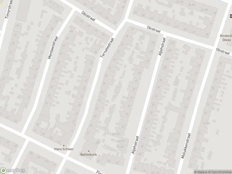 Ambulance met gepaste spoed naar de Obistraat in Haarlem