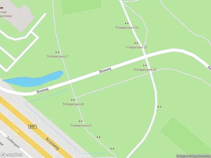 Ambulance naar de Bosweg in Hoofddorp