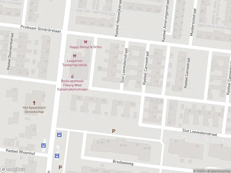 Overlastmelding Slot Loevesteinstraat in Tilburg