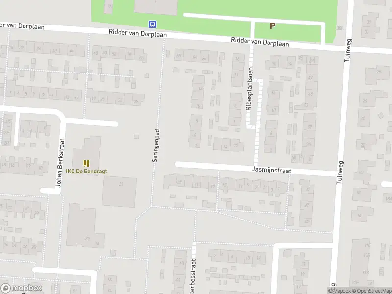 Overlastmelding Seringenpad in Zuid-Beijerland