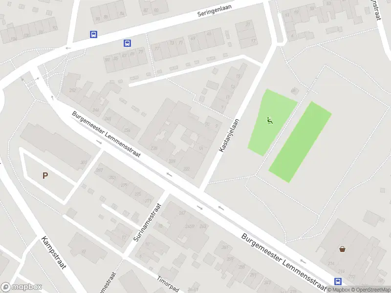 Overlastmelding Kastanjelaan in Geleen