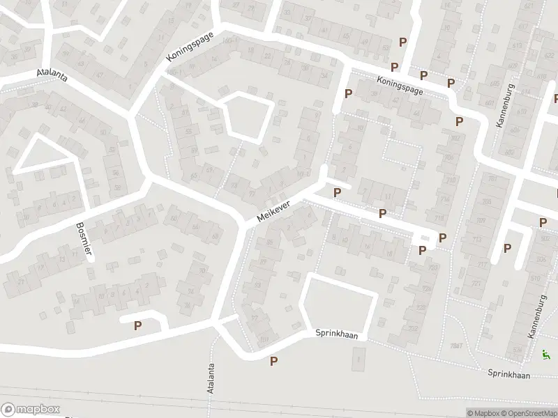 Brandweer met gepaste spoed naar de Meikever in Deventer