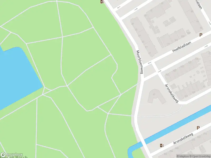 Ambulance met gepaste spoed naar de Lobelialaan in 's-Gravenhage