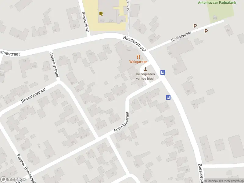 Overlastmelding Antoniusstraat in Biest-Houtakker