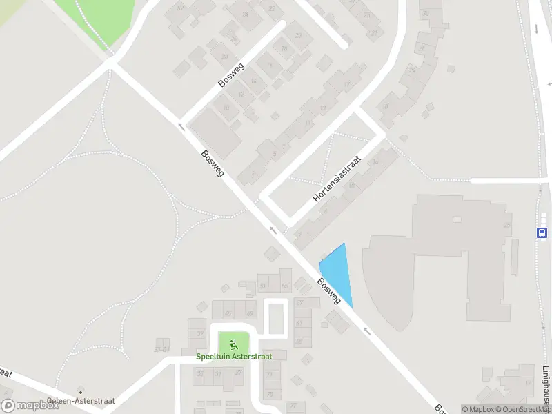 Brandweer en politie met gepaste spoed naar de Hortensiastraat in Geleen vanwege stankoverlast