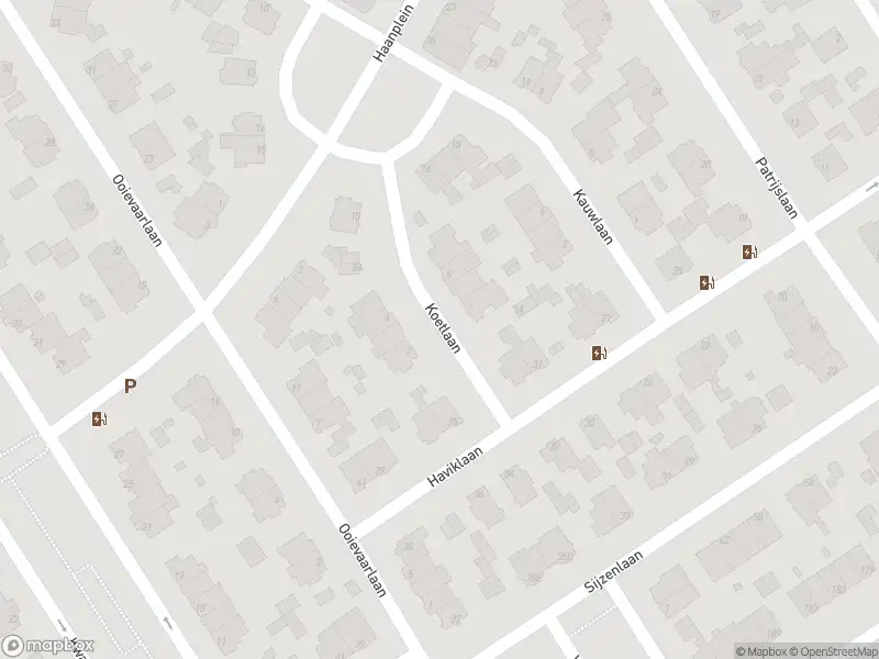 Ambulance met grote spoed naar de Koetlaan in 's-Gravenhage