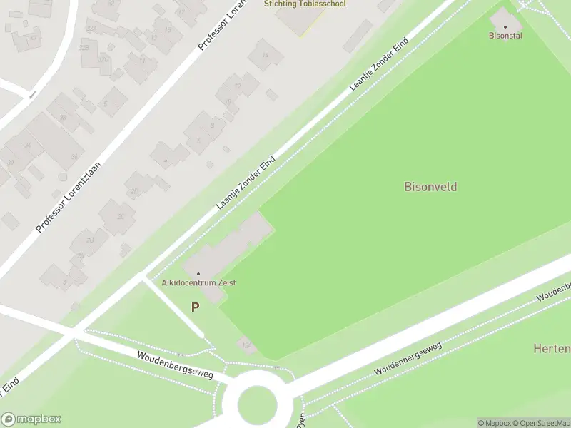 Brandweer met gepaste spoed naar de 1e Dorpsstraat in Zeist vanwege afhijsen patient