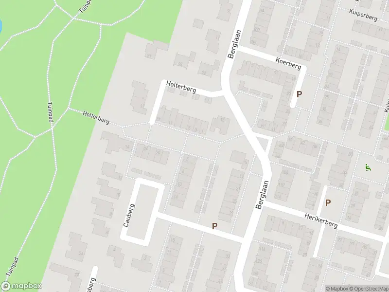 Ambulance met gepaste spoed naar de Holterberg in Zoetermeer