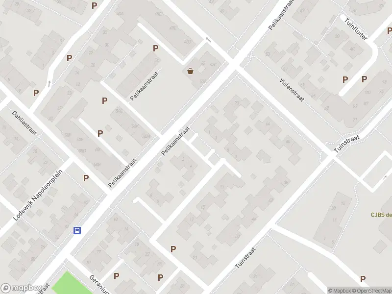 Brandweer met grote spoed naar de Begoniastraat in Assen vanwege gebouwbrand