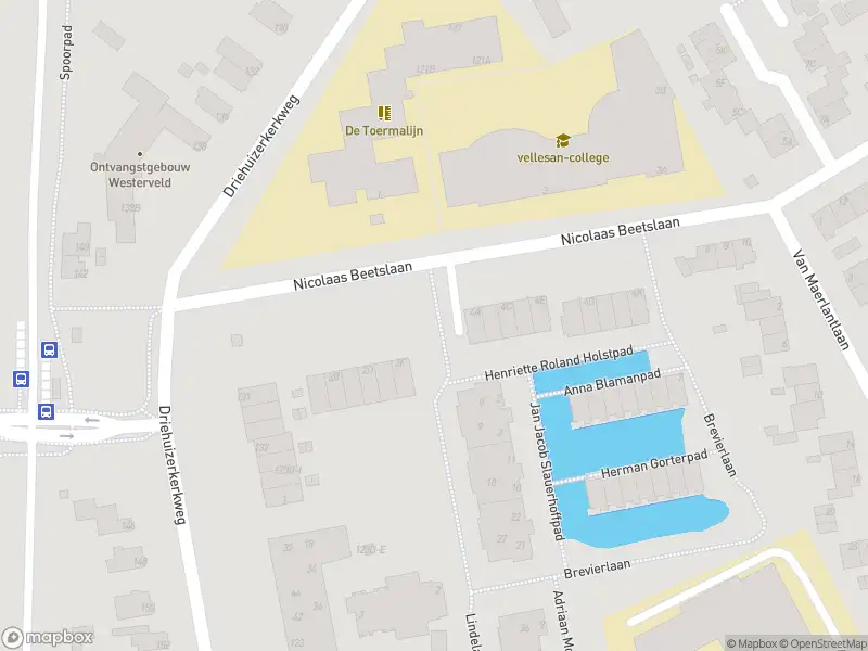 Anonieme overlastmelding Nicolaas Beetslaan in Driehuis