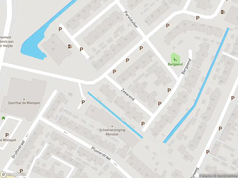 Ambulance met grote spoed naar de Zeearend in Monster