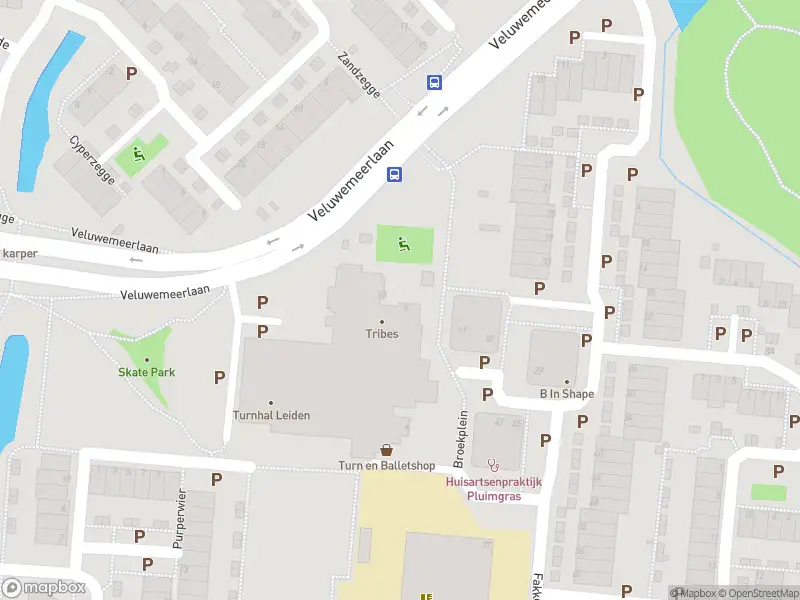 Ambulance met grote spoed naar de Edelkarper in Leiden